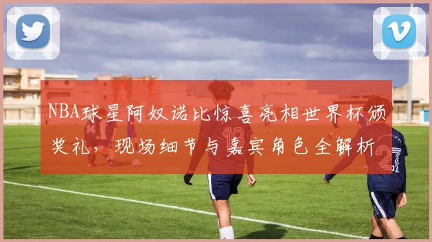 NBA球星阿奴诺比惊喜亮相世界杯颁奖礼,现场细节与嘉宾角色全解析